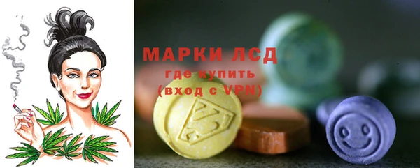тгк Бородино