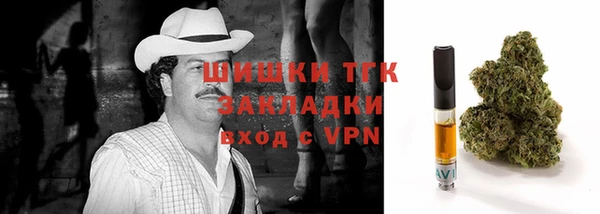 тгк Бородино