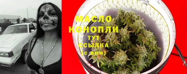 тгк Бородино